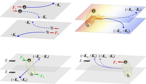 Inheritance of the exciton geometric structure from Bloch electrons in two-dimensional layered semiconductors