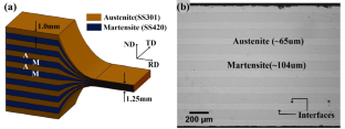 An In-Situ Investigation of the Strain Partitioning and Failure Across the Layers in a Multi-Layered Steel