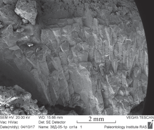 Chapter 8. Ferromanganese Ores of the Oceans