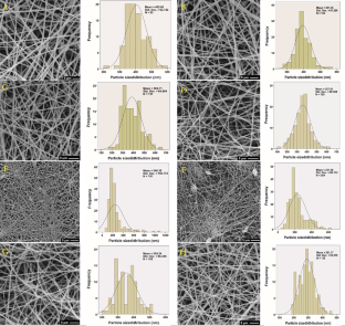 Electrospun PEO/WPI Nanofibers with Vanillin for Food Applications