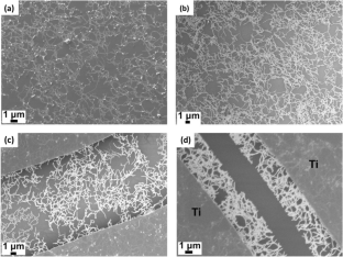 Evaluating the performance of p-type organic field-effect transistor using different source–drain electrodes