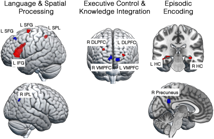 The neural and cognitive basis of expository text comprehension.