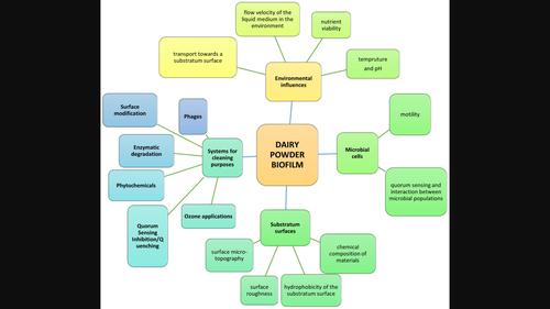 Microbiological aspects and challenges of dairy powders – II: Biofilm/biofouling