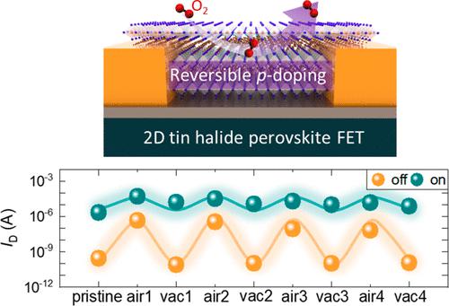 Reversible Oxidative p-Doping in 2D Tin Halide Perovskite Field-Effect Transistors