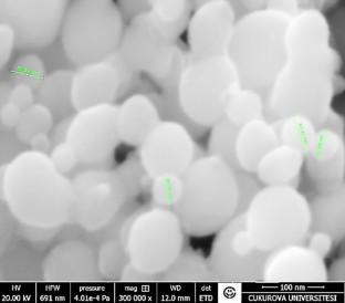 Cooling and Tribological Performance Analyses of a Refrigeration System Using Nano-Fluids as Refrigerant and Lubricant