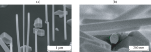 Raman Scattering Spectroscopy and Photoluminescence of GaAs Nanowires