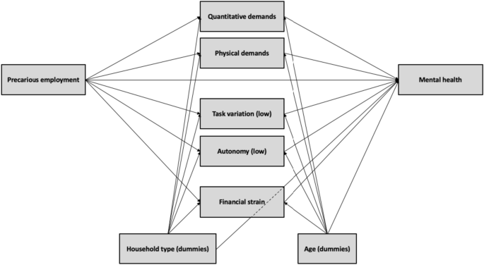 Precarious employment and mental health in the Belgian service voucher system: the role of working conditions and perceived financial strain.