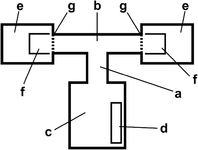 Odour preferred males led to a higher offspring number in the common vole