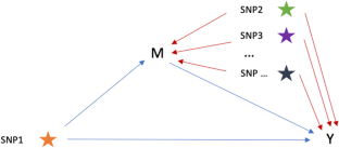 A mediation analysis framework based on variance component to remove genetic confounding effect