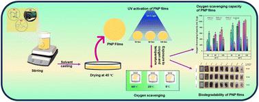 Ultra-violet light-driven green oxygen scavenging composite made of PVA/NRL for active packaging: an alternative to metallic oxygen scavengers†