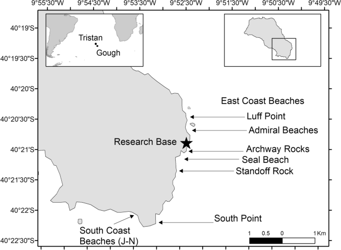 Contest competition and injury in adult male sub-Antarctic fur seals