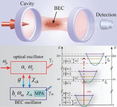 Photon Blockades in an Optomechanical Cavity with a Bose-Einstein Condensate in the Strong Coupling Regime