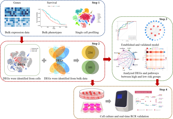 The crucial prognostic signaling pathways of pancreatic ductal adenocarcinoma were identified by single-cell and bulk RNA sequencing data.