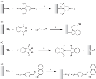 Rapid and facile quantification of surface amino groups on chitin nanowhiskers and nanofibers via spectrophotometry