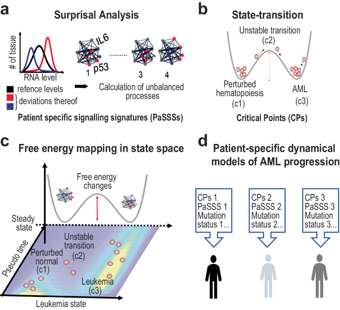 Transcriptome free energy can serve as a dynamic patient-specific biomarker in acute myeloid leukemia.