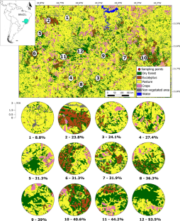 Better together: integrating mist-nets and bioacoustics reveals large-scale native vegetation as a key predictor of bat community conservation in a fragmented landscape