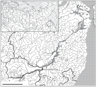 Geographic Variability in Morphological Traits of Lower Amur Grayling Thymallus tugarinae (Salmonidae: Thymallinae)