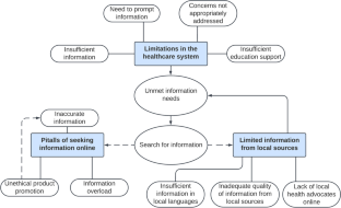 Challenges in Obtaining and Seeking Information Among Breast Cancer Survivors in an Asian Country: a Qualitative Study.