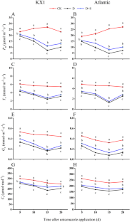 Physiological response of potato leaves to uniconazole under drought stress during the tuber expansion period