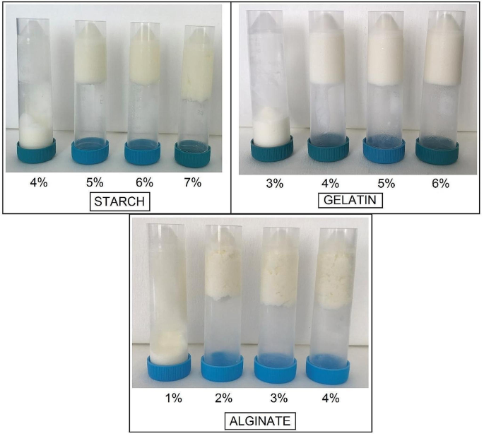 Preparation and Characterization of 3D Printed Objects Based on Different Kefir Gels