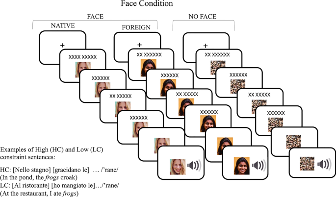 I know how you'll say it: evidence of speaker-specific speech prediction.