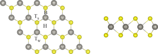 Adsorption and separation effects of typical metal nuclides on the WS2 surface: a DFT study