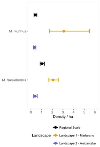 Where the small things are: Modelling edge effects on mouse lemur population density and distribution in northwestern Madagascar.