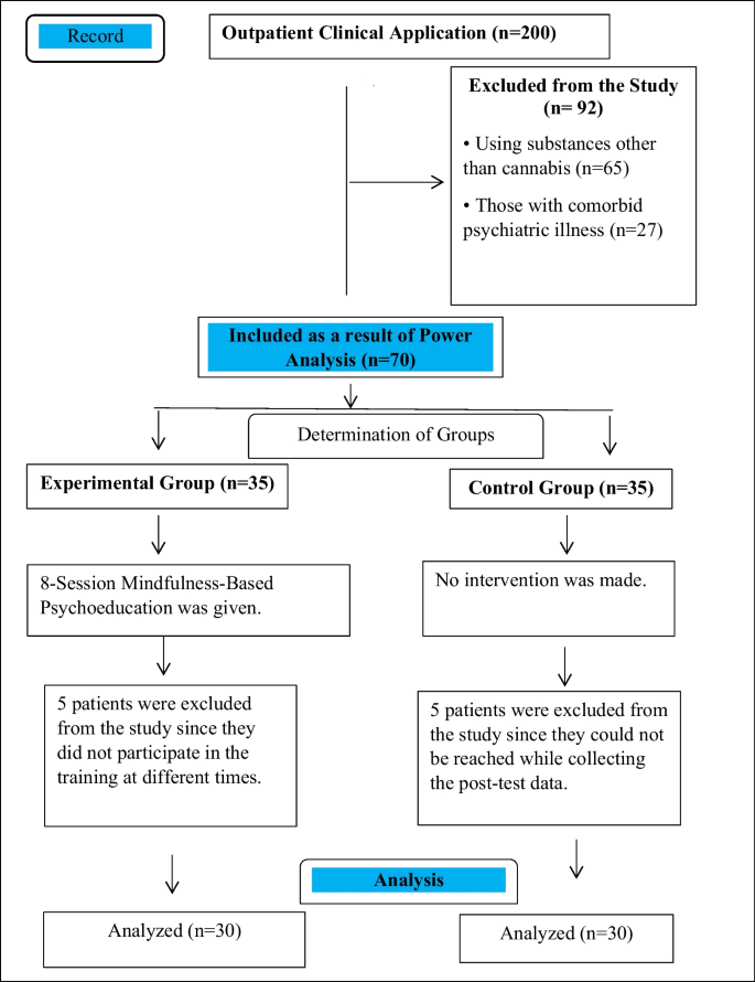 The Effect of Mindfulness-based Psychoeducation on Negative Automatic Thoughts and Medication Adherence in Individuals with Cannabis Use Disorder: a Randomized Controlled Trial