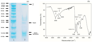 Cryoprotective Potential of Cellulose Nanofibers and Gelatin Hydrolysate in Frozen Potatoes