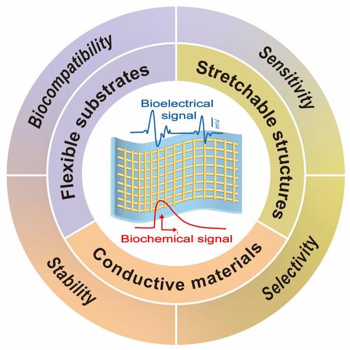 Flexible and Stretchable Electrodes for In Vivo Electrophysiological and Electrochemical Monitoring†