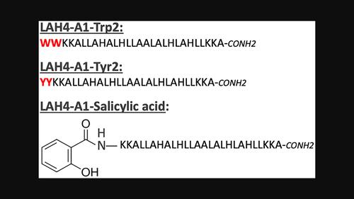 N-terminal modification of an LAH4-derived peptide increases mRNA delivery in the presence of serum