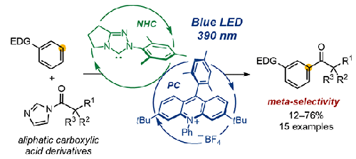 Use of Aliphatic Carboxylic Acid Derivatives for NHC/Photoredox-Catalyzed meta-Selective Acylation of Electron-Rich Arenes