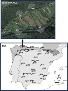 Breeding bird communities of riparian and upland woodlands respond differently to an Atlantic-Mediterranean climatic gradient in Mainland Spain