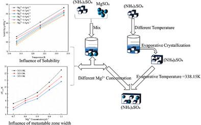 Effect of Evaporation Temperature and Mg2+ Concentration on the Crystallization of Ammonium Sulfate