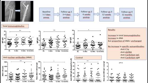 Major low-energy trauma results in non-specific immunoglobulin generation without evidence for specific autoantibody production: A prospective cohort study.