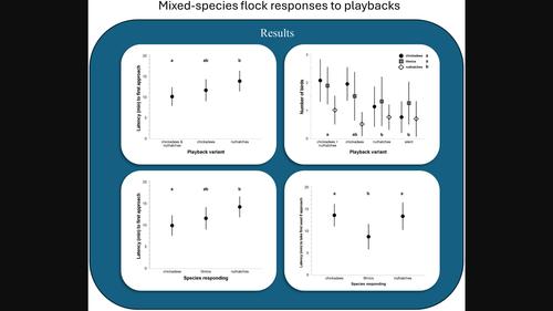 Single-species and multi-species playbacks elicit asymmetrical responses within mixed-species chickadee, titmouse, and nuthatch flocks