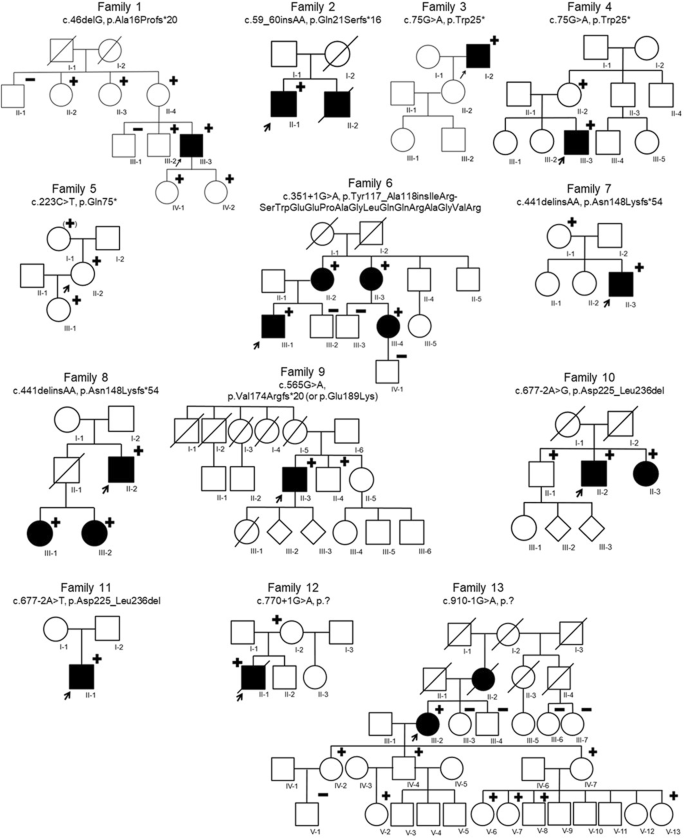 Expanding the clinical spectrum of biglycan-related Meester-Loeys syndrome.