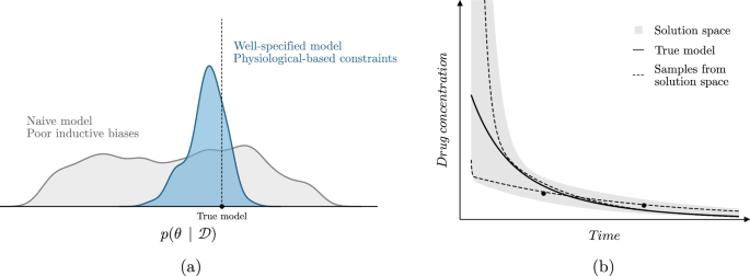 On inductive biases for the robust and interpretable prediction of drug concentrations using deep compartment models.