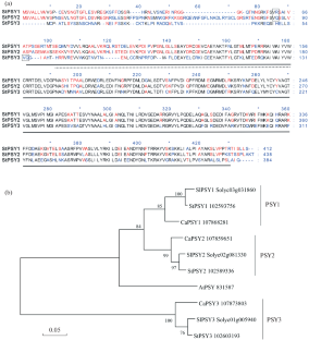 Potato Solanum tuberosum L. Phytoene Synthase Genes (StPSY1, StPSY2, and StPSY3) Are Involved in the Plant Response to Cold Stress.