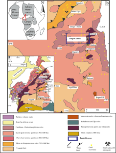 Mass movement susceptibility: the case study of Tongo-Gadima landslide, East Cameroon