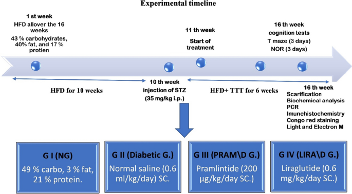 Liraglutide versus pramlintide in protecting against cognitive function impairment through affecting PI3K/AKT/GSK-3β/TTBK1 pathway and decreasing Tau hyperphosphorylation in high-fat diet- streptozocin rat model.