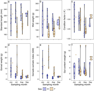 An assessment of the potamodromous fish Opsariichthys uncirostris uncirostris (Hasu fish) during its reproductive migration to a Lake Biwa tributary using stable isotope ratios and biometric data