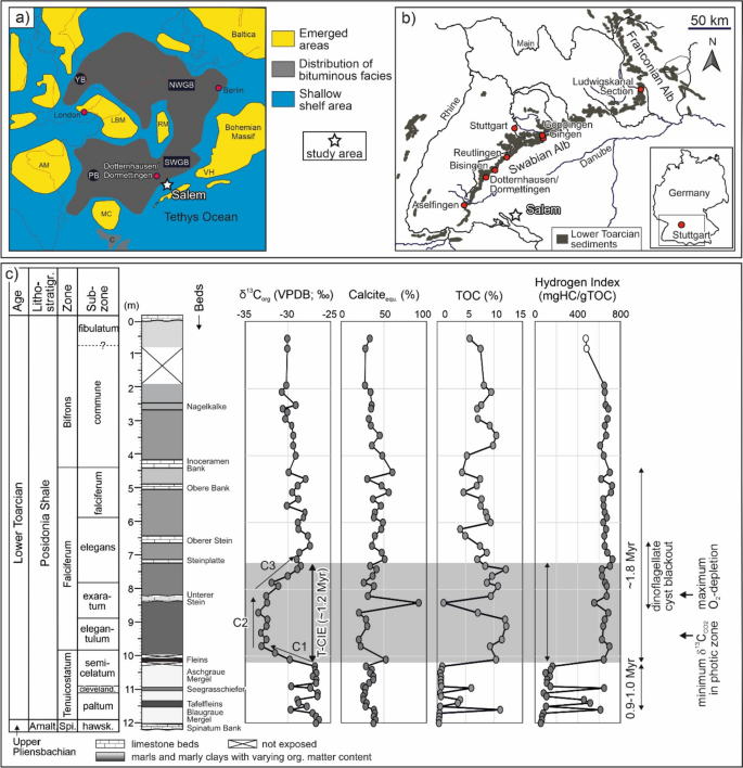 The Toarcian Posidonia Shale at Salem (North Alpine Foreland Basin; South Germany): hydrocarbon potential and paleogeography