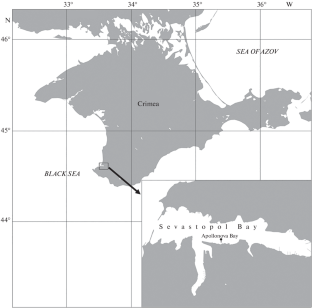 Comparative Study of Biochemical and Histopathological Parameters of Two Black Sea Goby Species