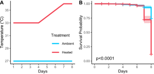 Complex parental effects impact variation in larval thermal tolerance in a vertically transmitting coral