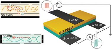 Graphene oxide–DNA/graphene oxide–PDDA sandwiched membranes with neuromorphic function†