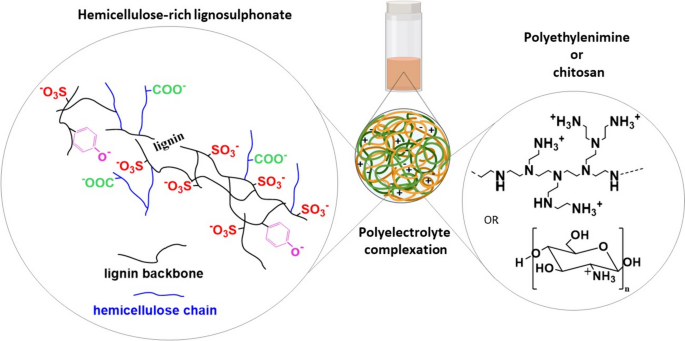 Polyelectrolyte complexes based on a novel and sustainable hemicellulose-rich lignosulphonate for drug delivery applications.