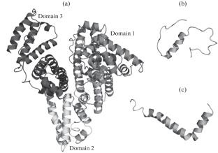 Role of Human Serum Albumin in the Prevention and Treatment of Alzheimer’s Disease