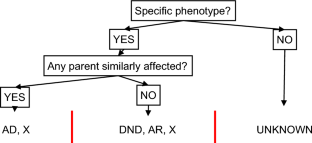 Semiautomated approach focused on new genomic information results in time and effort-efficient reannotation of negative exome data.