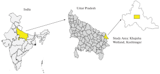 Elucidation of Diversity and Habitat Utilization of Waterbirds in Khajuha Wetland, Northern India